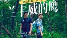 装甲坦克大战