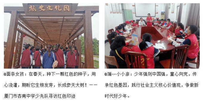 可爱小猫向上跳