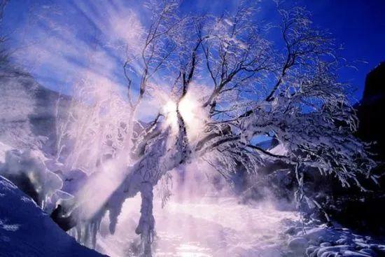 “农”墨重彩写华章 和美乡村谱新篇